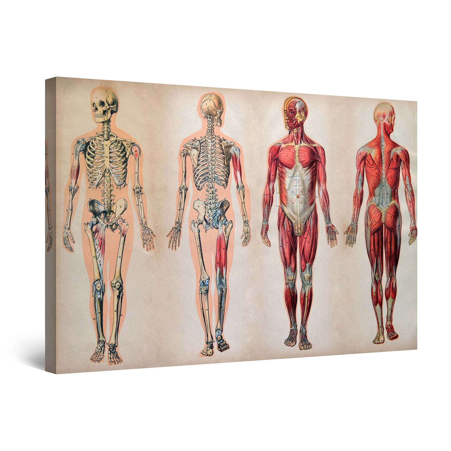 African Tribe Wall Art – 32x48in
