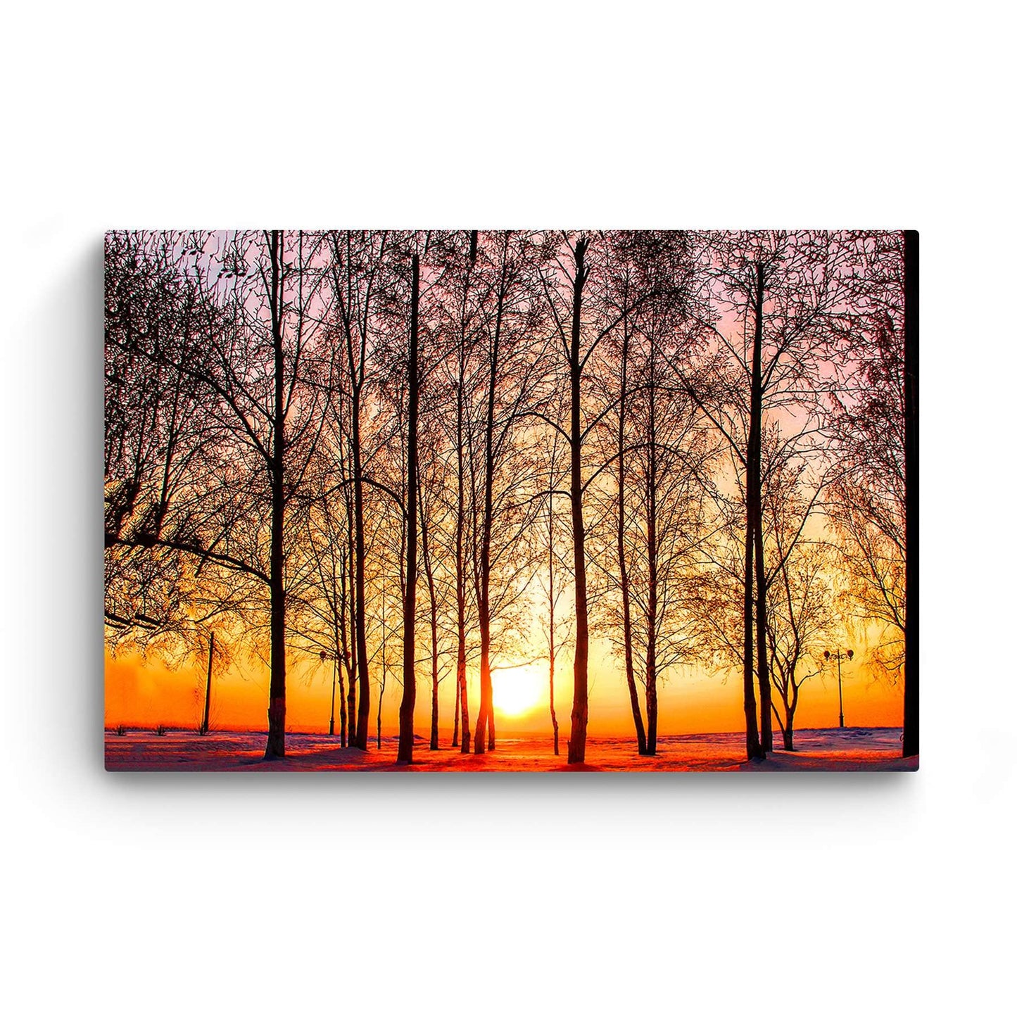 Winter Lake Canvas Art