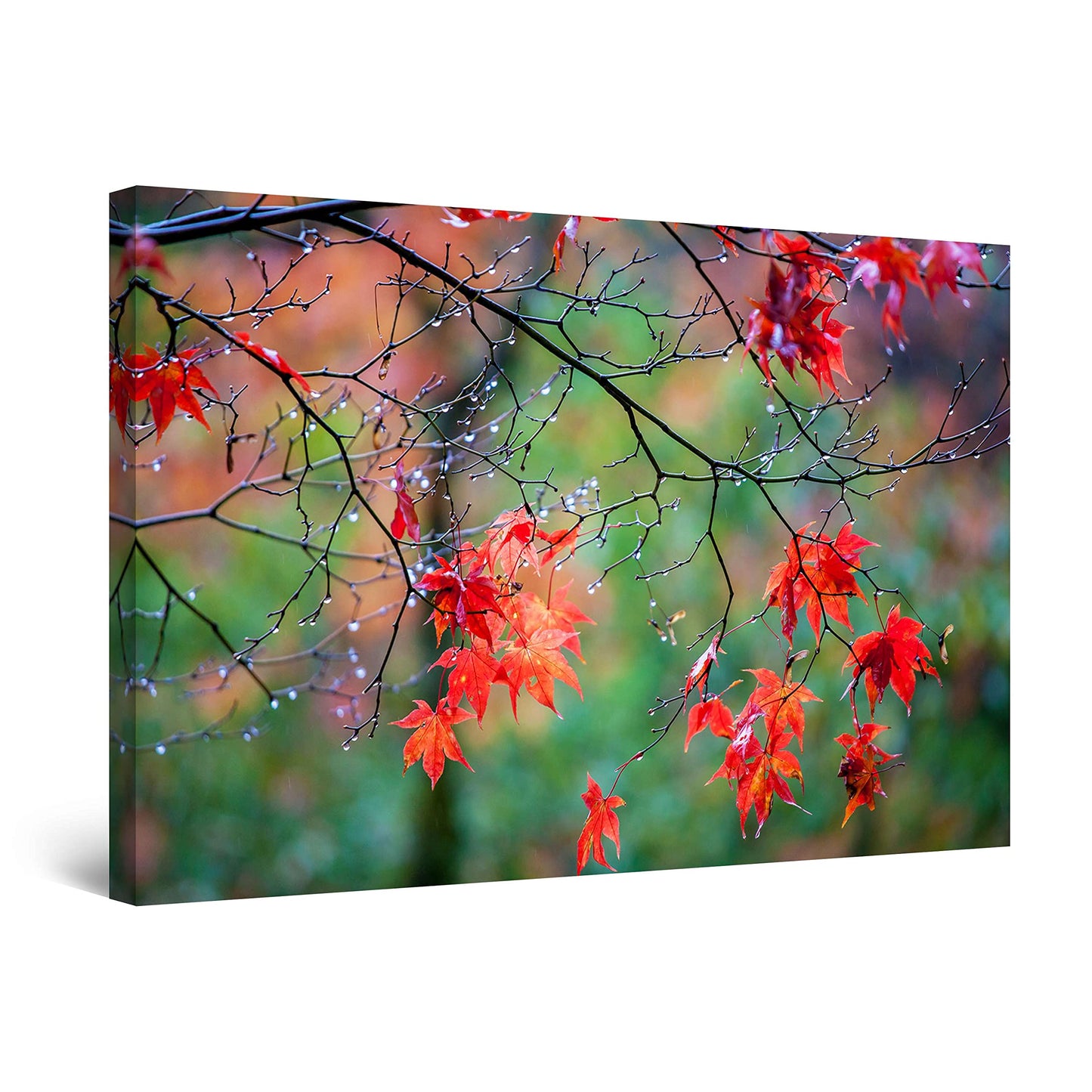 Red Boat Lake Canvas Wall Art 32x48in