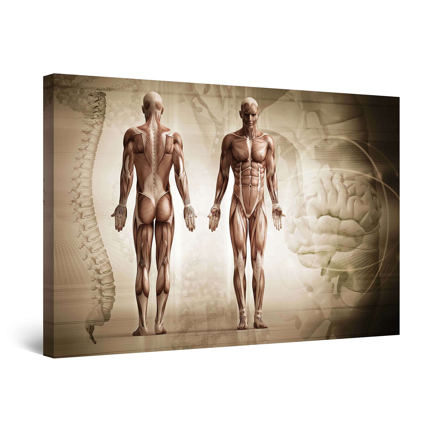 African Tribe Wall Art – 32x48in
