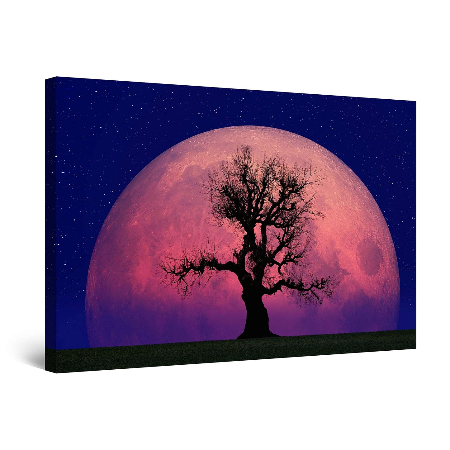 Ocean Canvas Wall Art – 32x48in