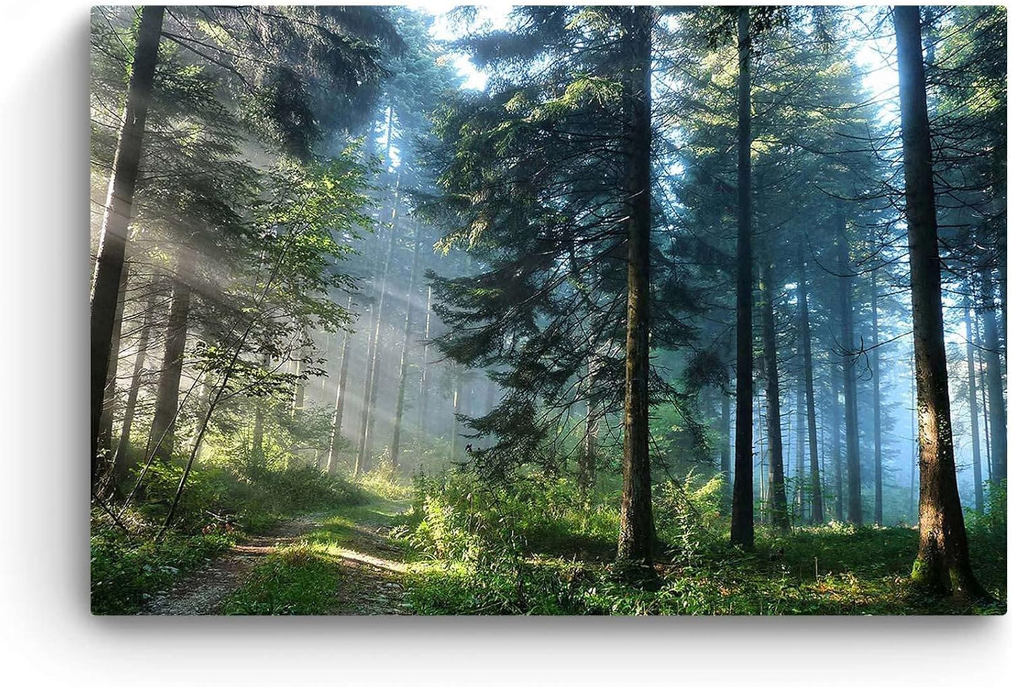 Forest Road Canvas Wall Art – 32x48in