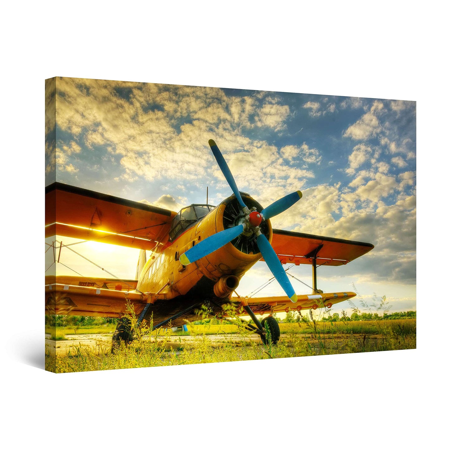 African Tribe Wall Art – 32x48in