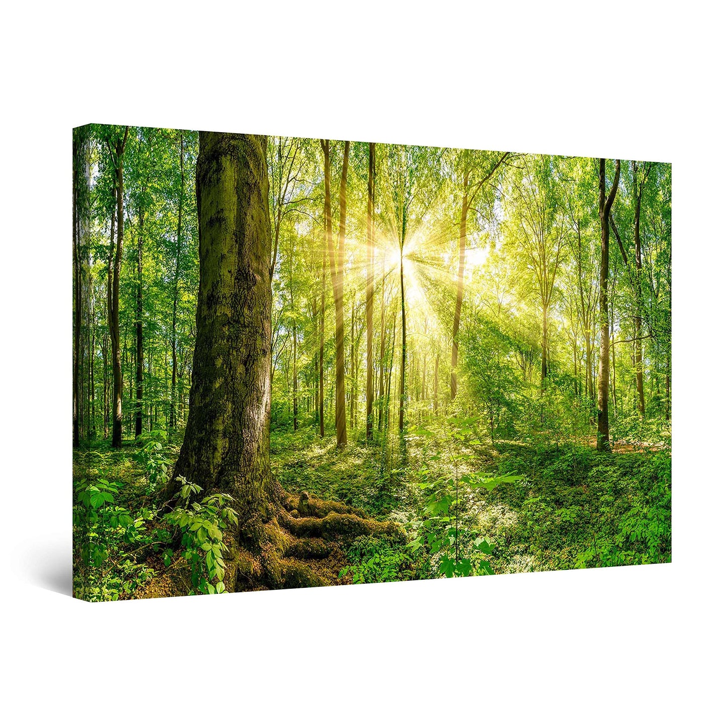 Winter Lake Canvas Art