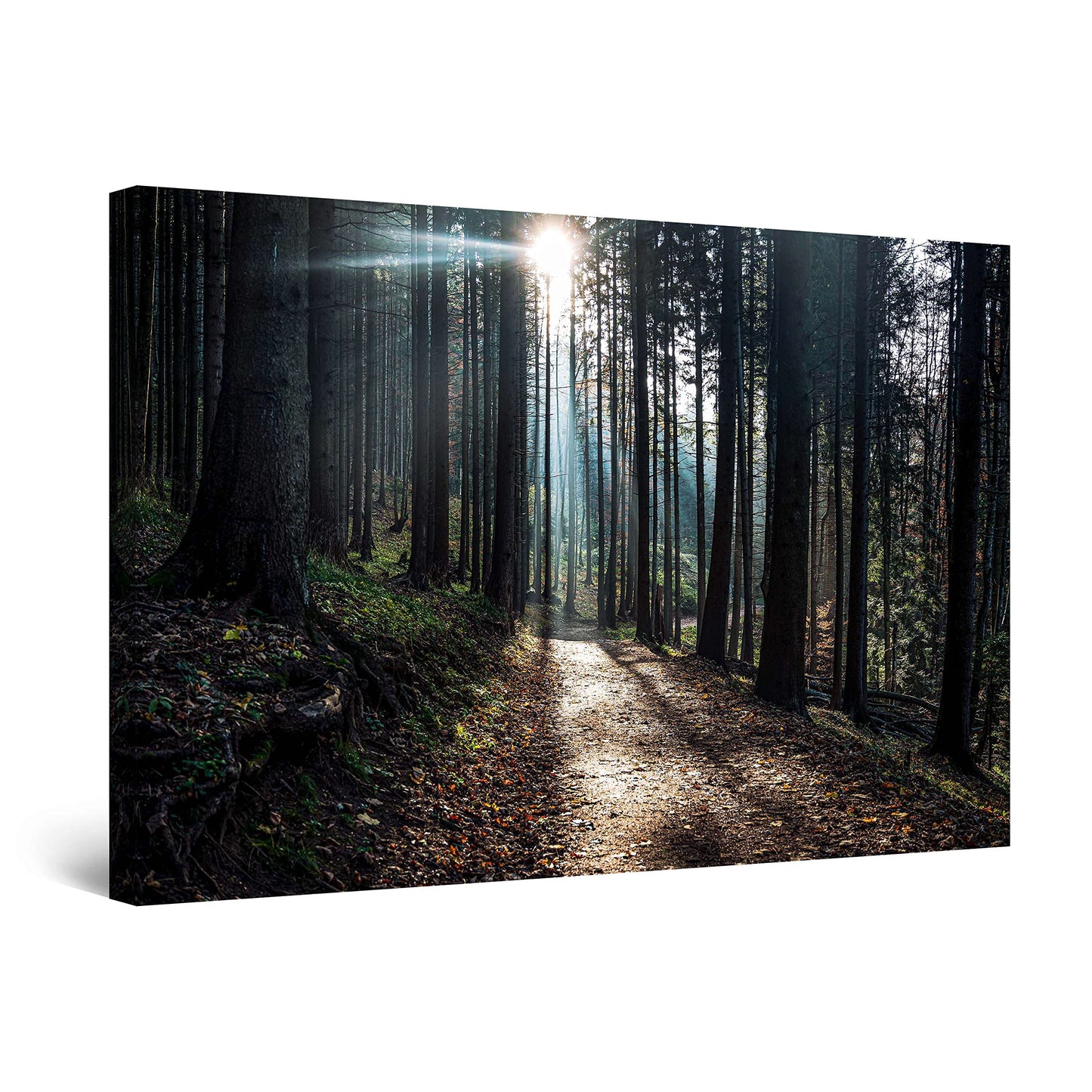 Winter Lake Canvas Art