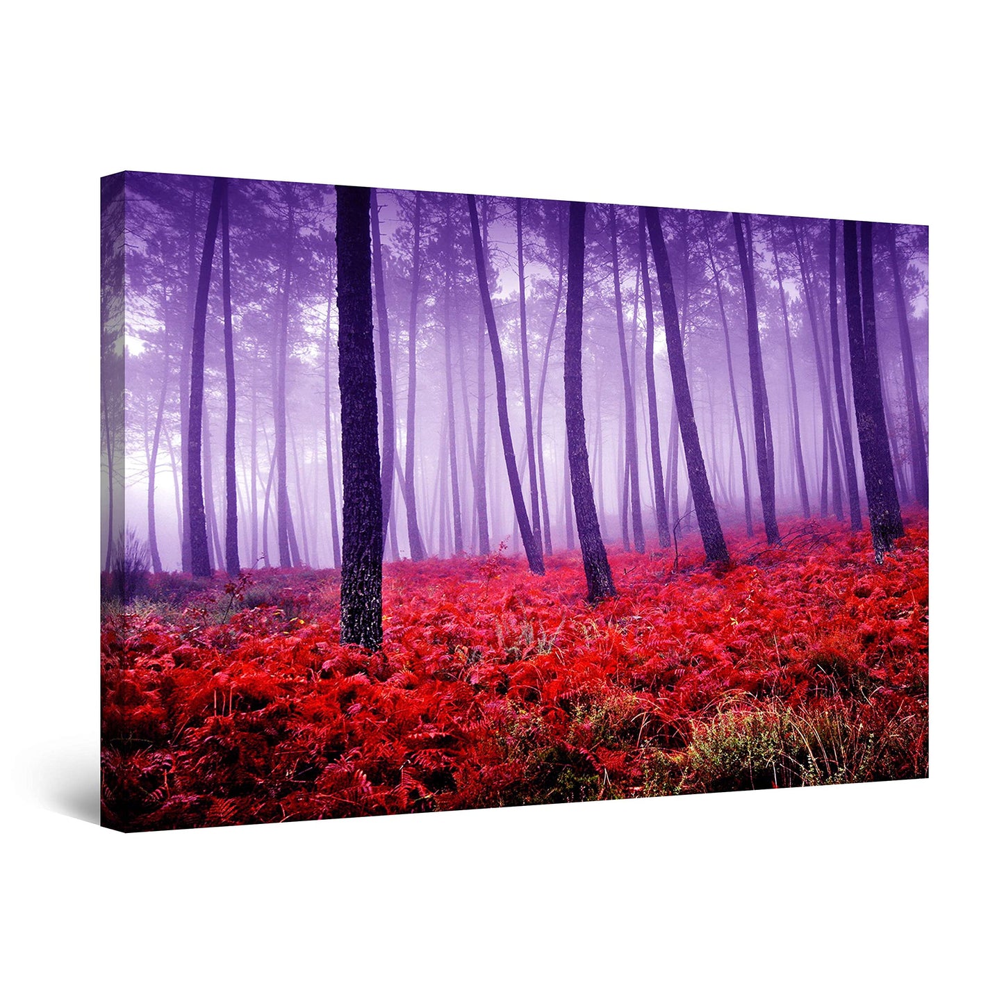 Winter Lake Canvas Art