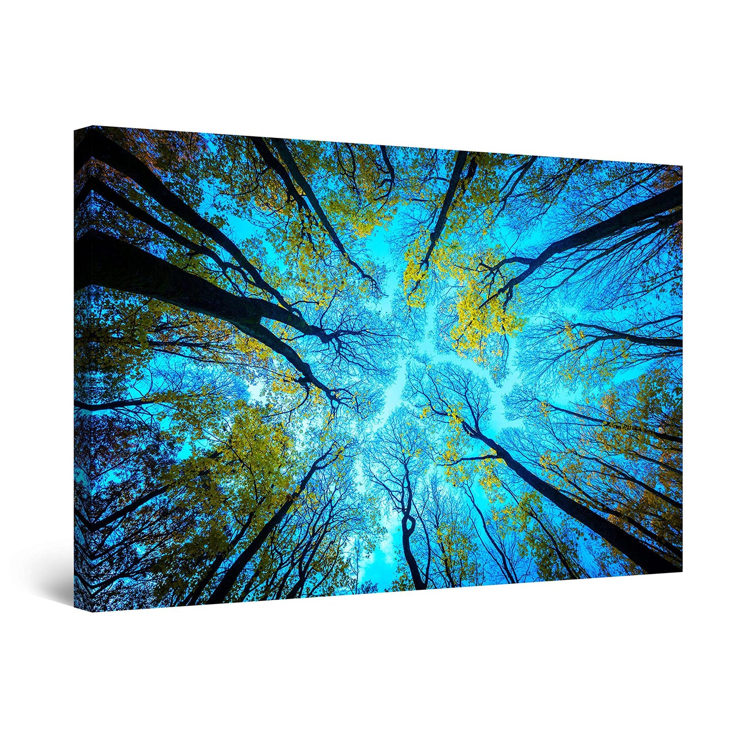 Winter Lake Canvas Art
