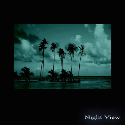 Caribbean Beach Glass Wall Art 24x36in