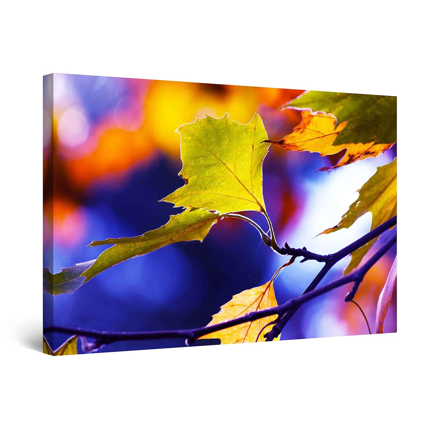 Golden Forest Canvas Wall Art – 32x48in