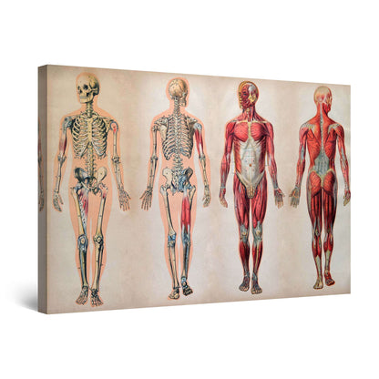 African Tribe Wall Art – 32x48in