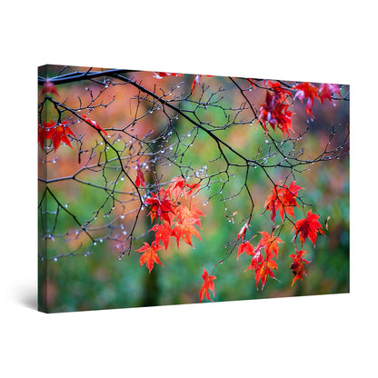 Red Boat Lake Canvas Wall Art 32x48in
