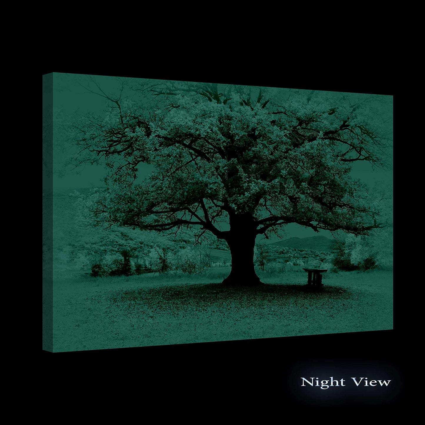 Golden Forest Canvas Wall Art – 32x48in
