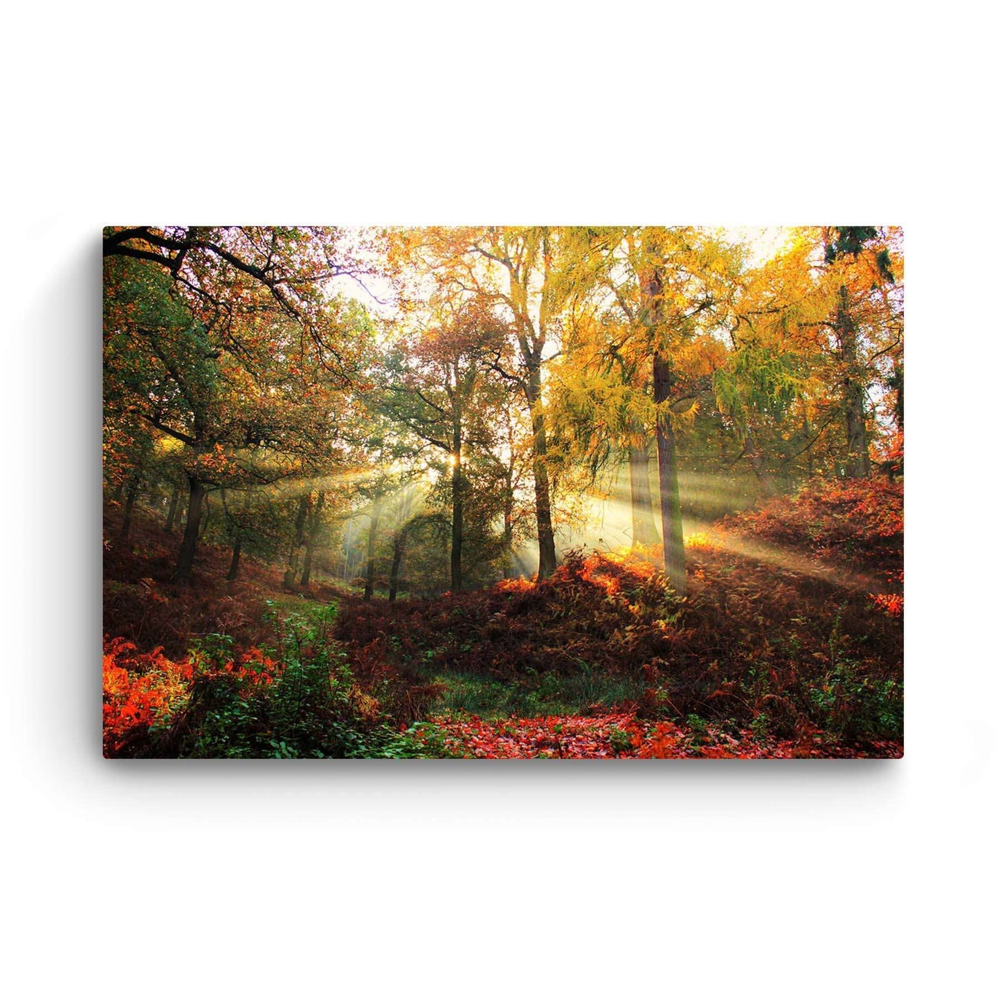 Winter Lake Canvas Art