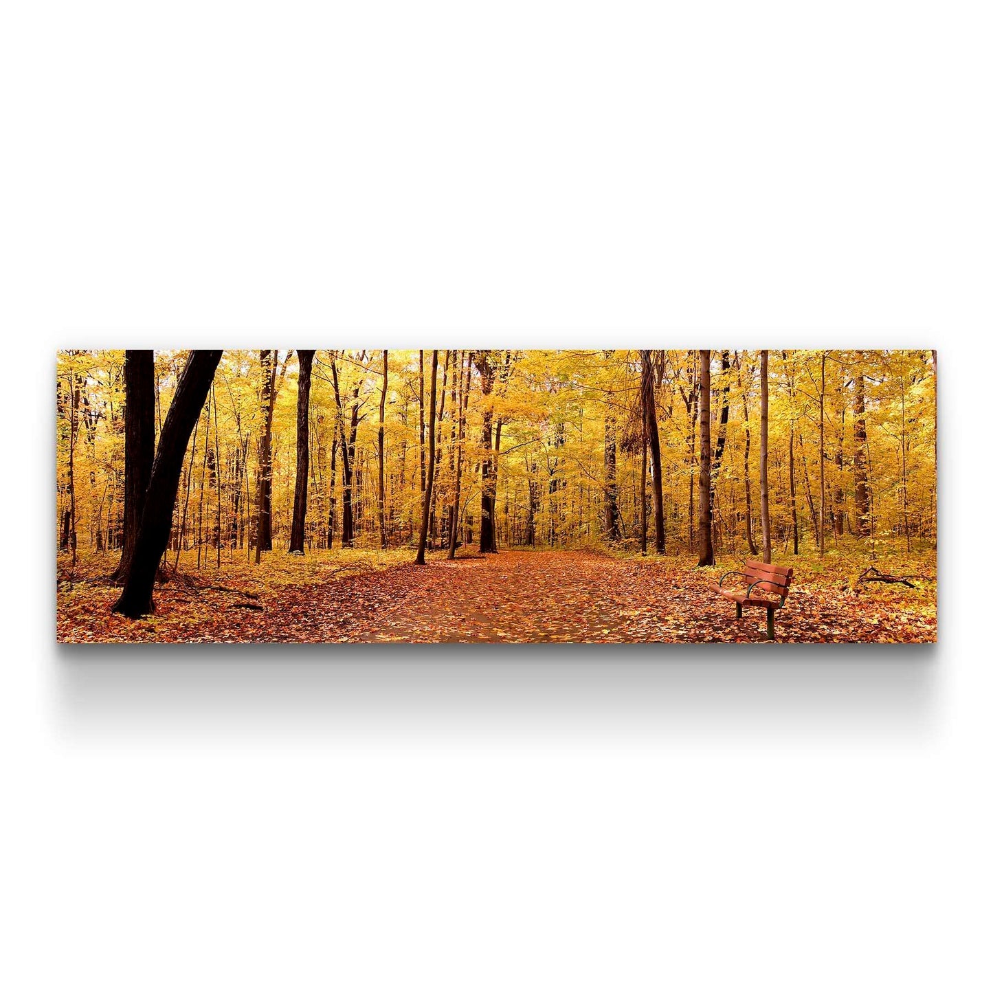 Winter Lake Canvas Art