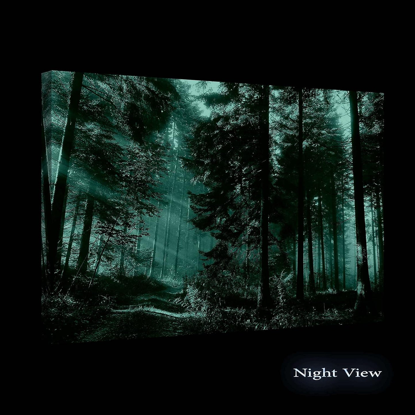 Forest Road Canvas Wall Art – 32x48in