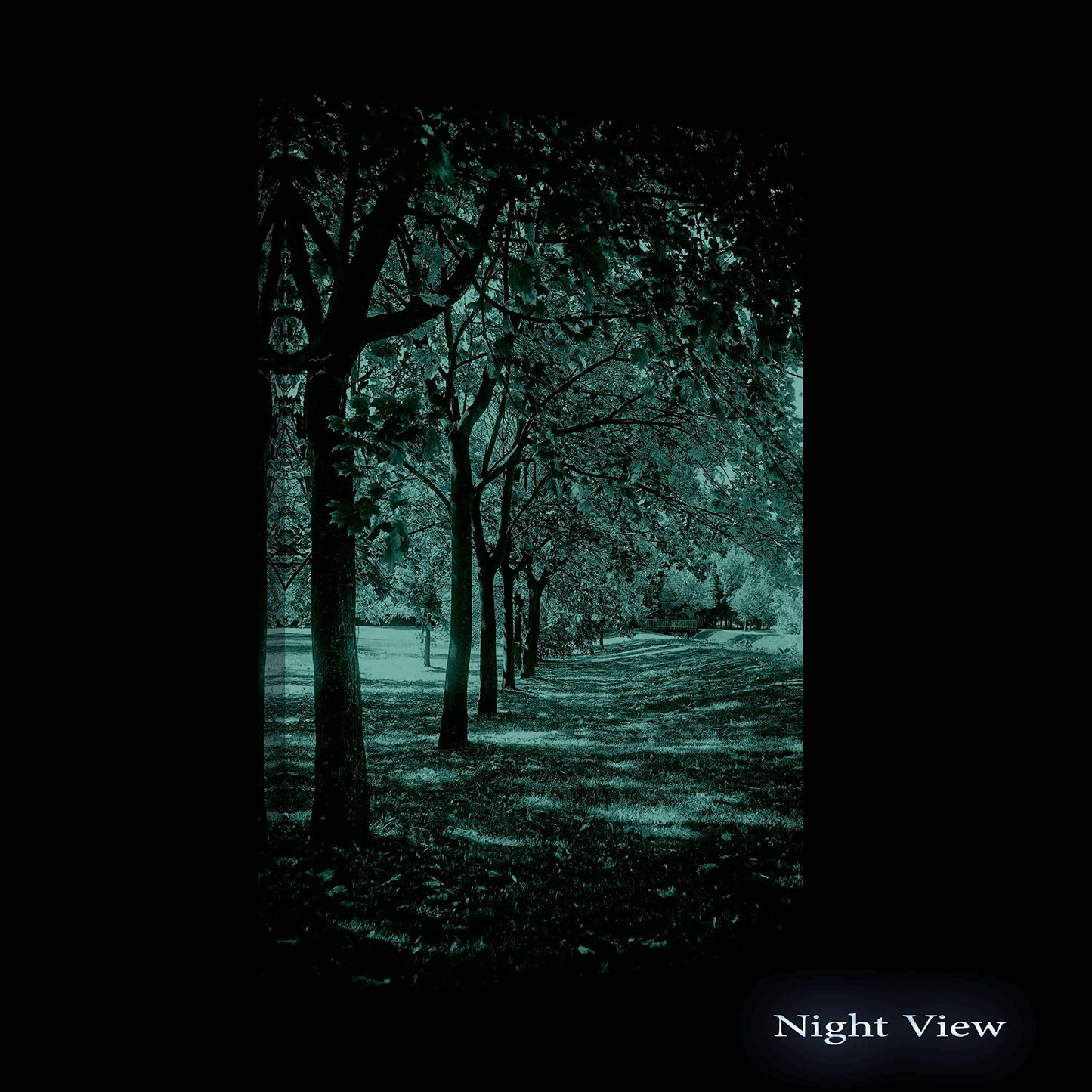 Winter Lake Canvas Art