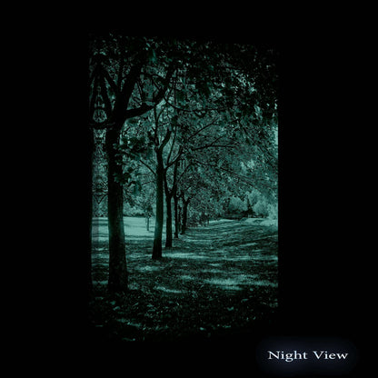 Winter Lake Canvas Art