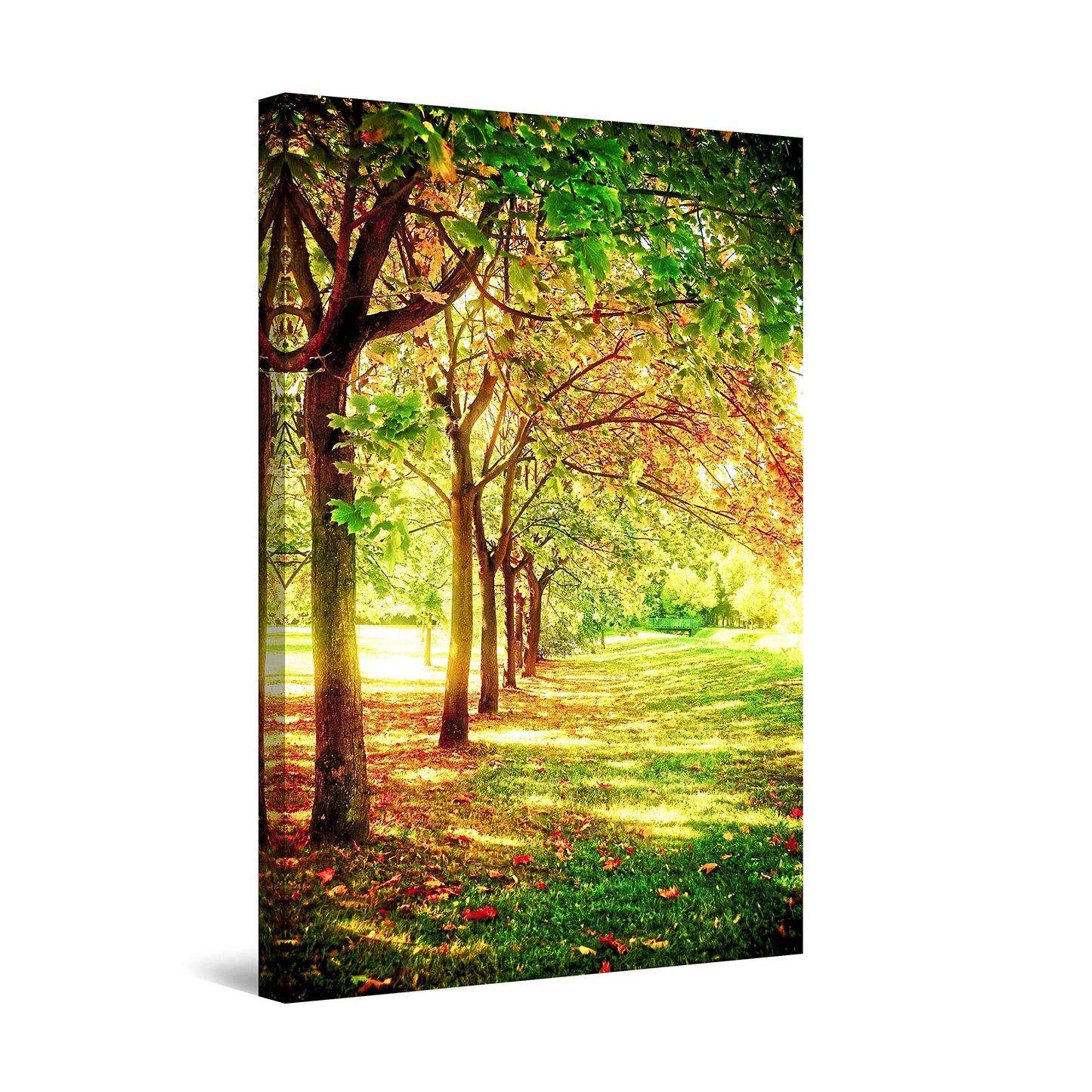 Winter Lake Canvas Art