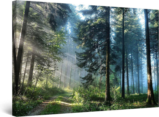 Forest Road Canvas Wall Art – 32x48in