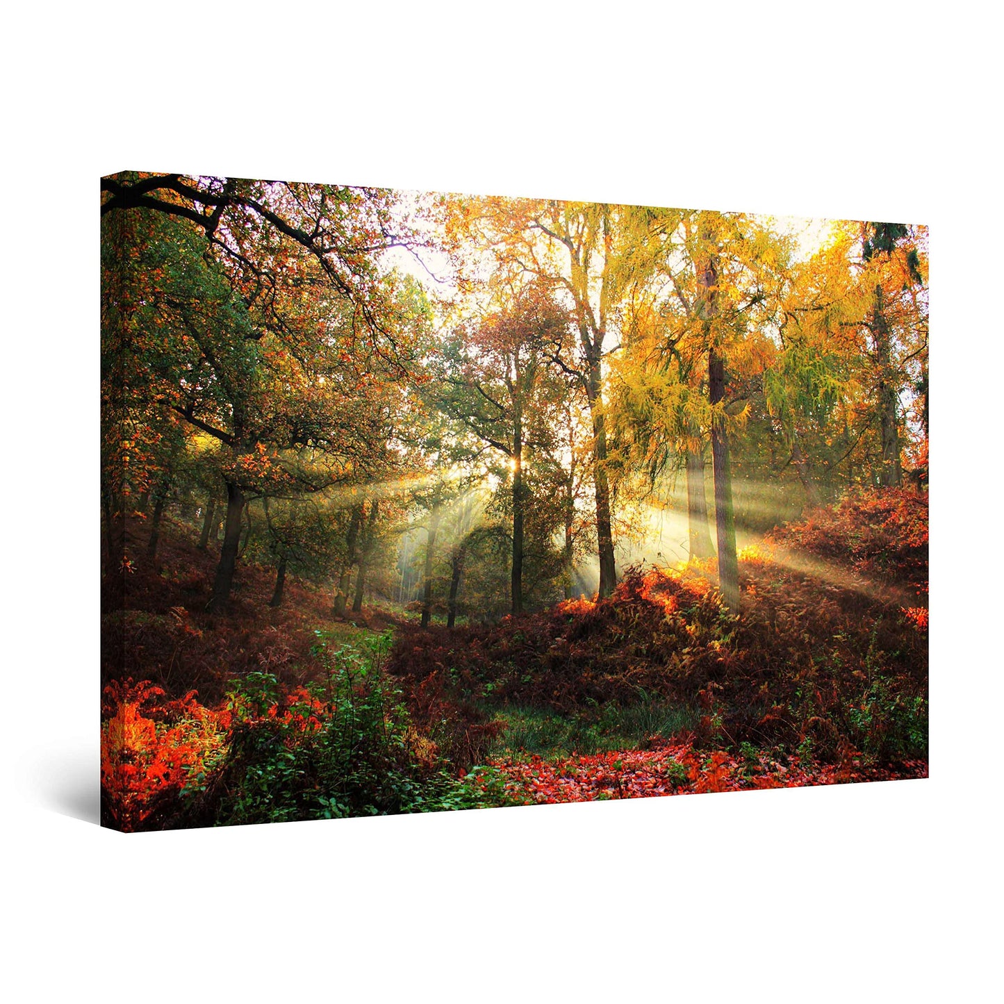 Winter Lake Canvas Art