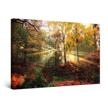 Winter Lake Canvas Art