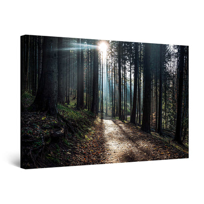 Winter Lake Canvas Art