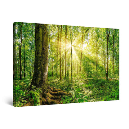 Winter Lake Canvas Art