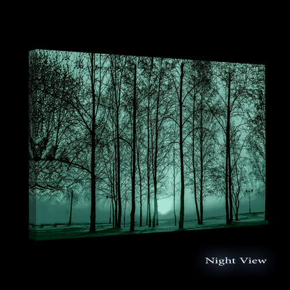 Winter Lake Canvas Art