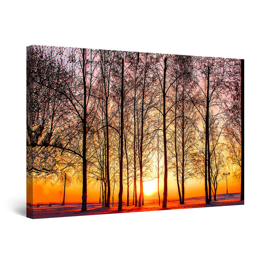 Winter Lake Canvas Art