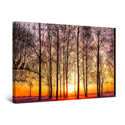 Winter Lake Canvas Art