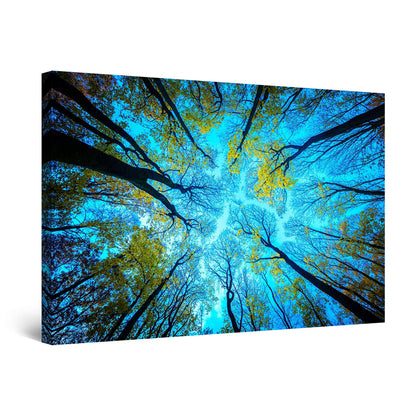 Winter Lake Canvas Art